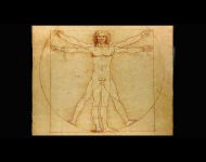 Hombre Vitrubio, Leonardo Da Vinci, 1490, Galeria de la Academia de Venecia, ©Gallerieaccademia.org